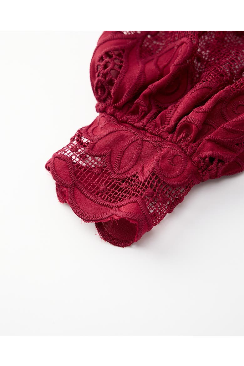 Gisele Embroidered Mini Dress, Alternate, color, Wine