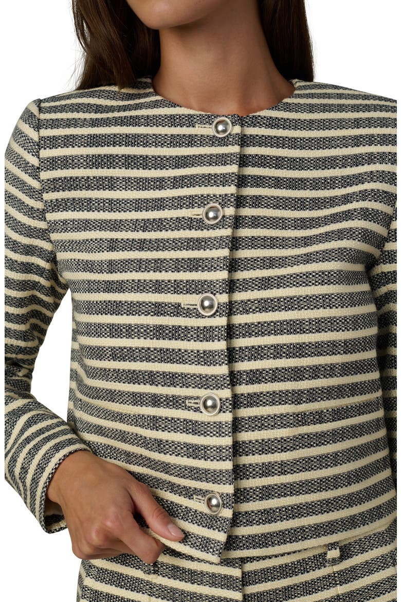 The Talia Stripe Crop Jacket, Alternate, color, MIDNIGHT/ ECRU STRIPE
