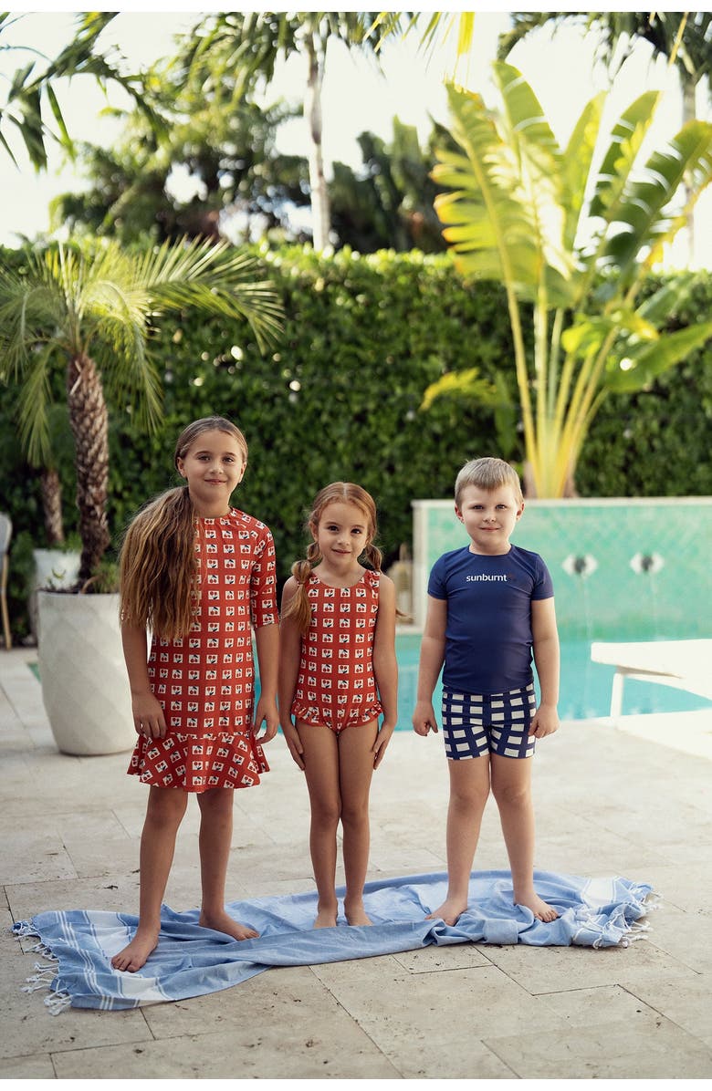 Sunburnt Checked Raglan Sleeve Flounce Hem Swim Dress, Alternate, color, Red