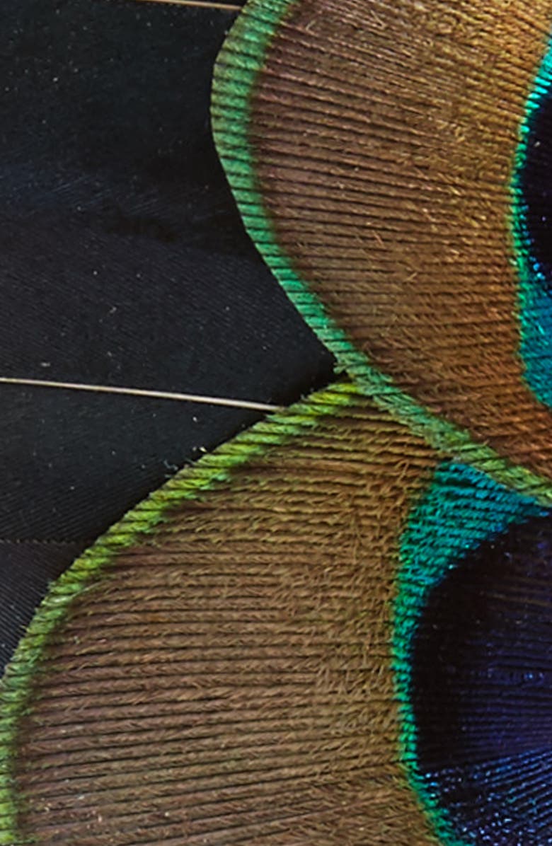 Brackish & Bell Aberdeen Feather Bow Tie, Alternate, color, 