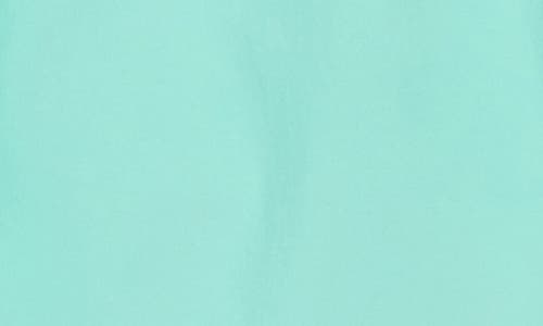 Bugatchi Swim Trunks In Mint