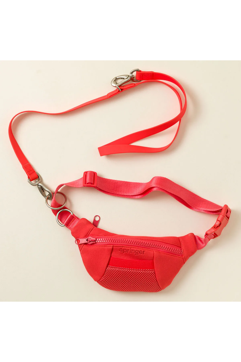 4-in-1 Hands-Free Dog Walking Leash Bag by Springer Pets, Alternate, color, Bright Red