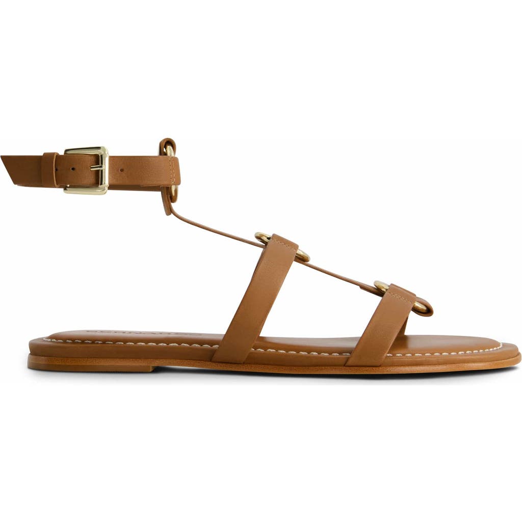 Bernardo Footwear Hera Gladiator Sandal In Luggage