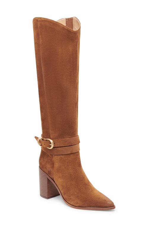 Dolce Vita Tyrone Pointed Toe Knee High Boot in Brown Suede 