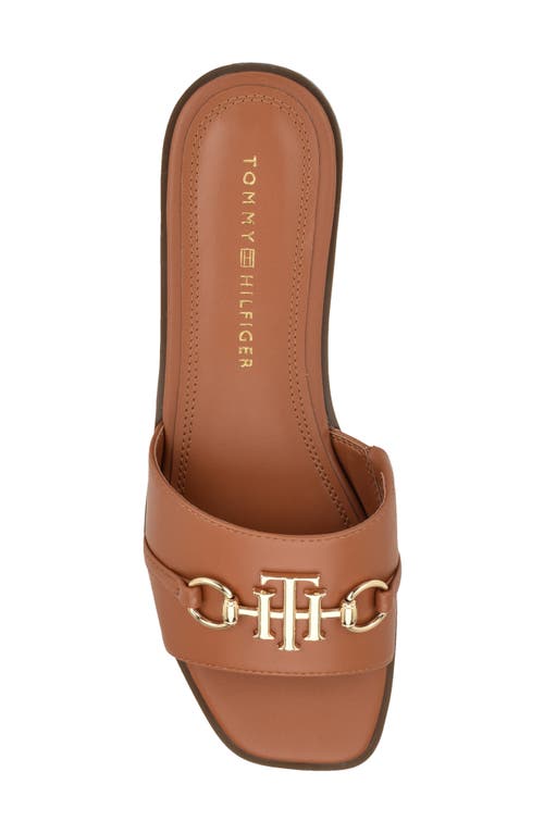 Tommy Hilfiger Pipper Slide Sandal In Brown