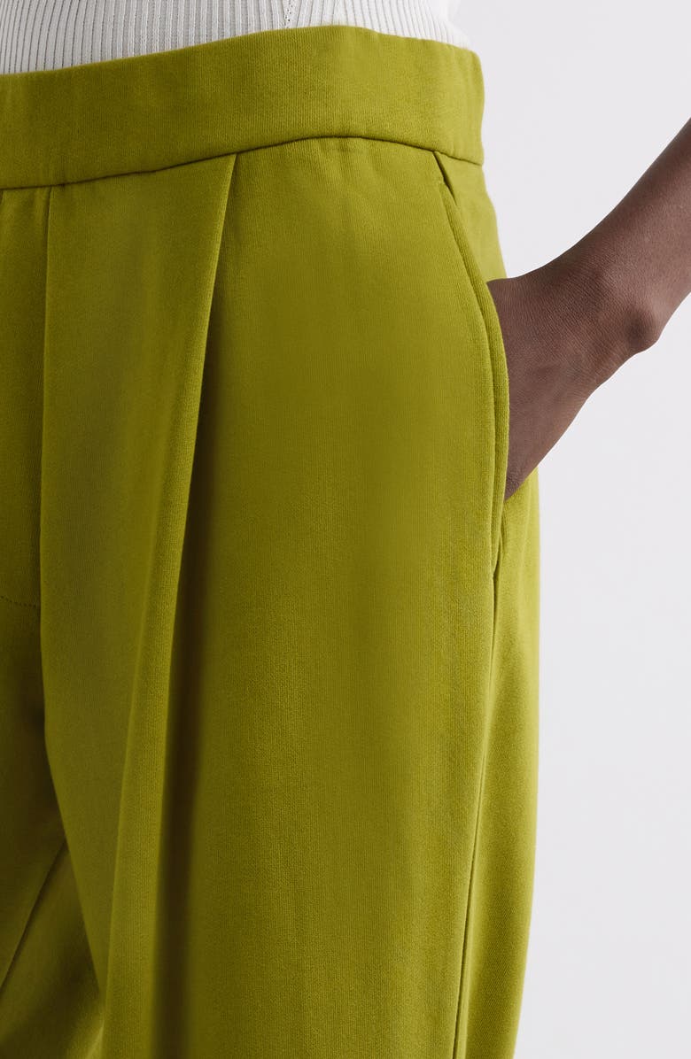 Dries Van Noten Hartia Bis Wide Leg Pants, Alternate, color, 