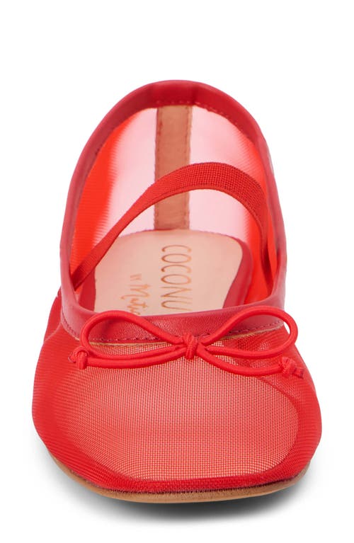 COCONUTS BY MATISSE COCONUTS BY MATISSE BRONX MESH BALLERINA FLAT