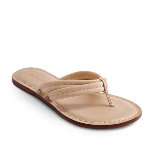 Bernardo Footwear Miami Thong Sandal In Blush