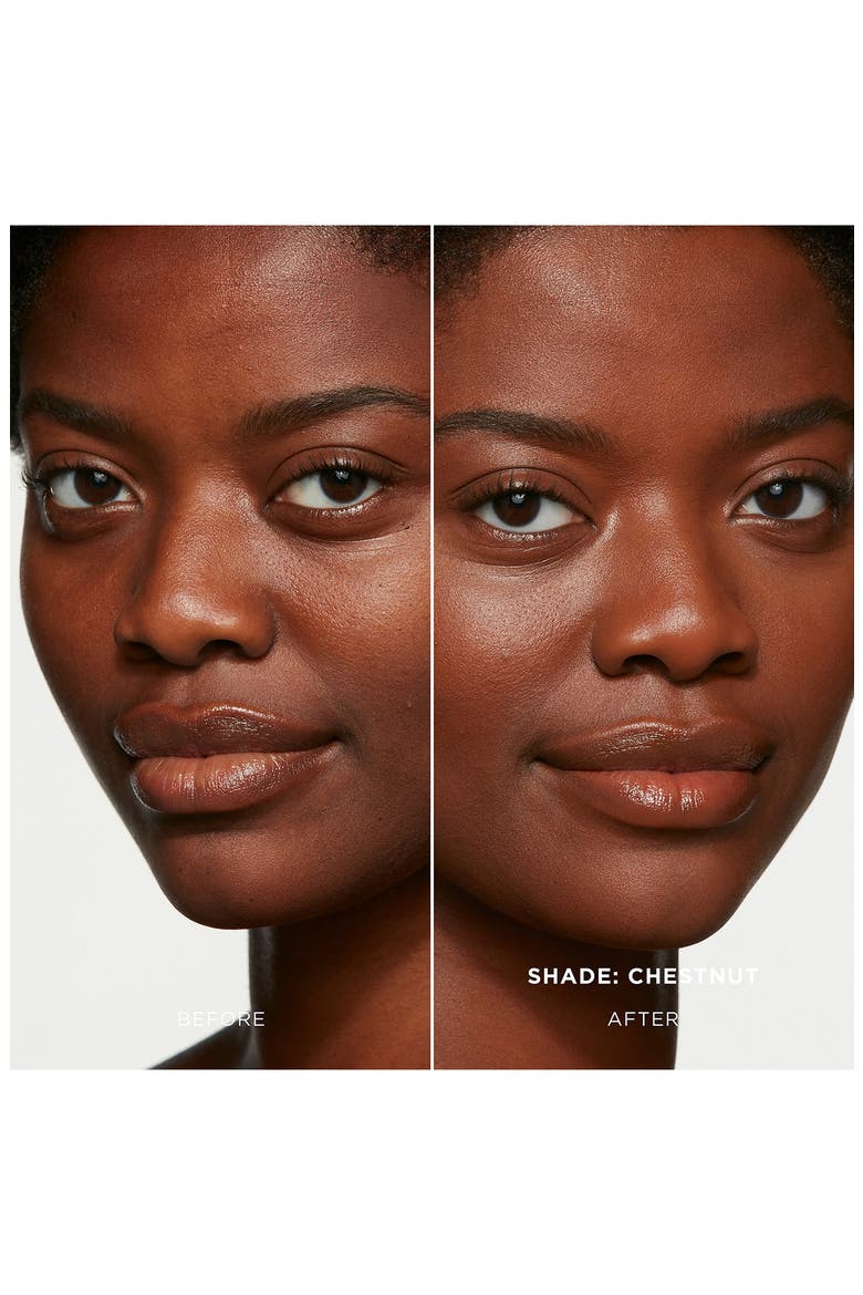 Vanish™ Seamless Finish Foundation Stick, Alternate, color, CHESTNUT 16.5