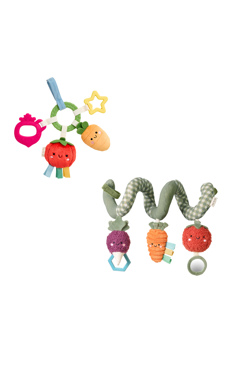 Itzy Ritzy Itzy Veggie Voyage Bundle, Main, color, Multi Color