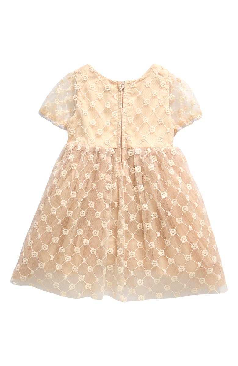 Popatu Kids' Embroidered Tulle Dress, Alternate, color, 