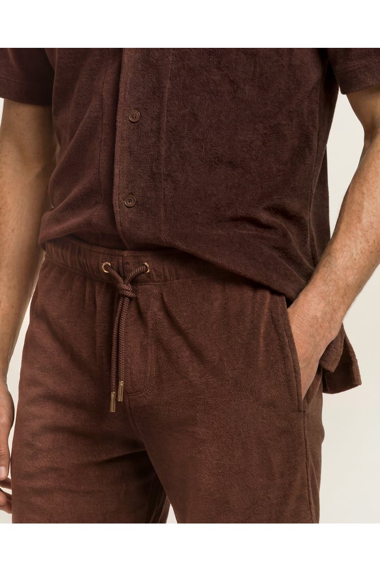 Terry Resort Relaxed Fit Cotton Towelling Polo Shirt, Alternate, color, CHESTNUT BROWN