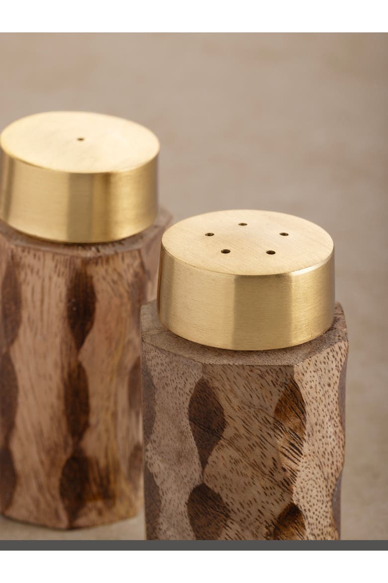 Macello Salt & Pepper Shakers, Alternate, color, Brown