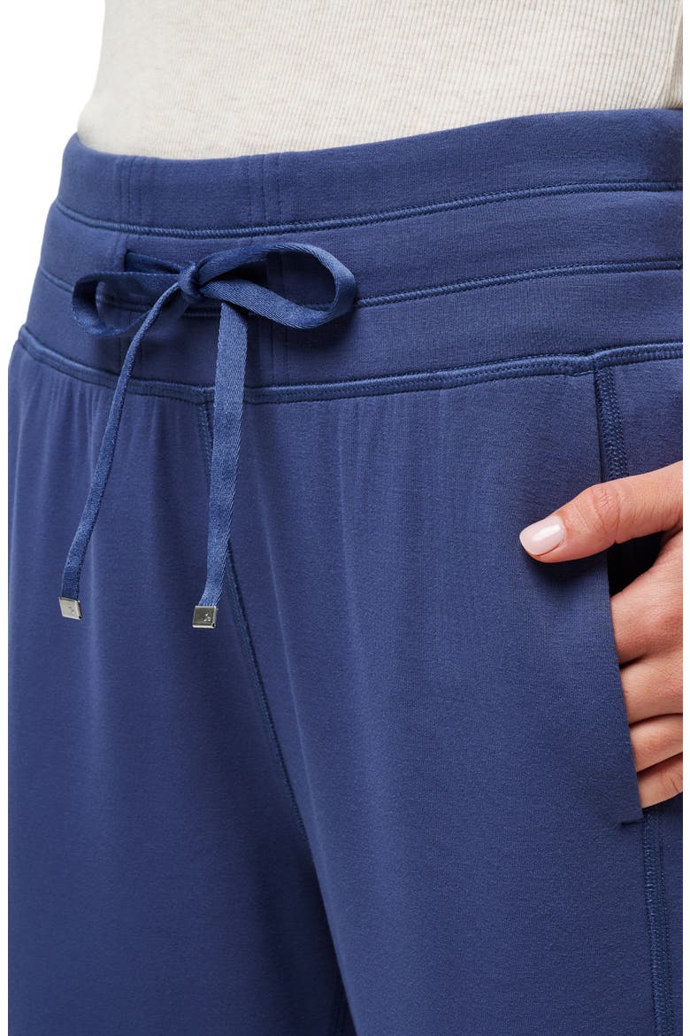 Core Skyloft Joggers, Alternate, color, OCEANA