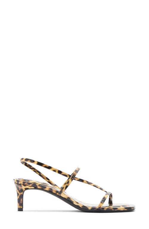 Abound Petra Kitten Heel Sandal In Brown