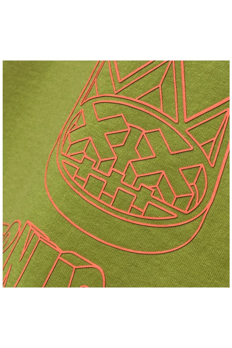 Boxy Fit Logo Graphic T-Shirt, Alternate, color, GREEN OASIS