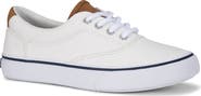 Sperry Kids' CVO Striper II Canvas Sneaker