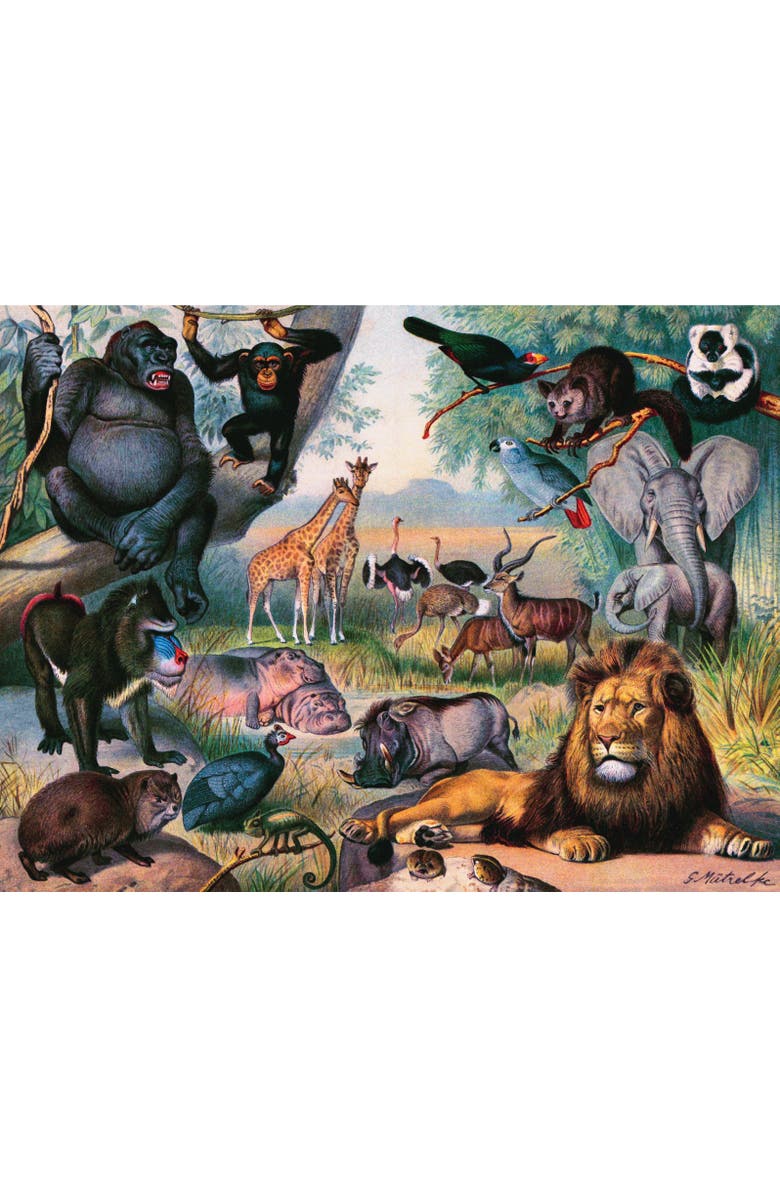 NEW YORK PUZZLE COMPANY Animals of Africa 1000 Piece Puzzle, Alternate, color, NO COLOR