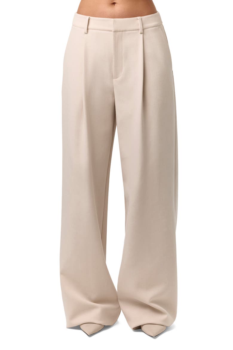 Pleated Wide Leg Pants video