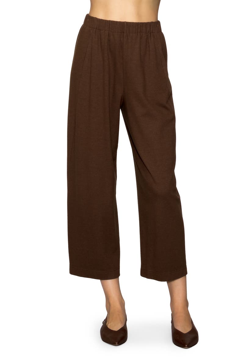 Brushed Crop Pants, Main, color, CHOCOLATE