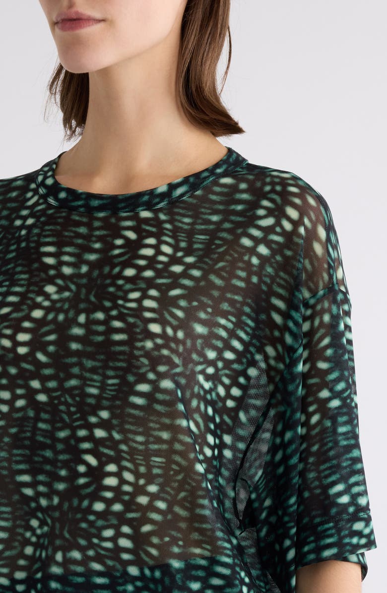 Dries Van Noten Hoge Print Mesh T-Shirt, Alternate, color, 