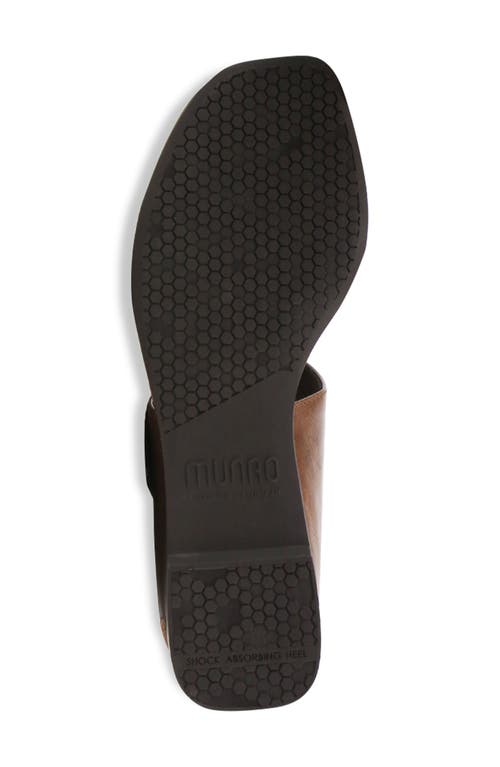 Munro Nissa Ankle Strap Sandal In Dark Brown