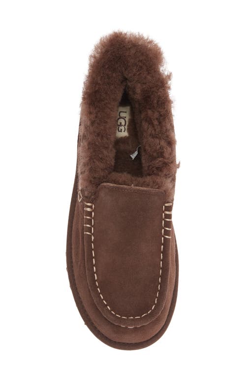 Ugg ® Ansley Parc Genuine Shearling Platform Slipper In Brown