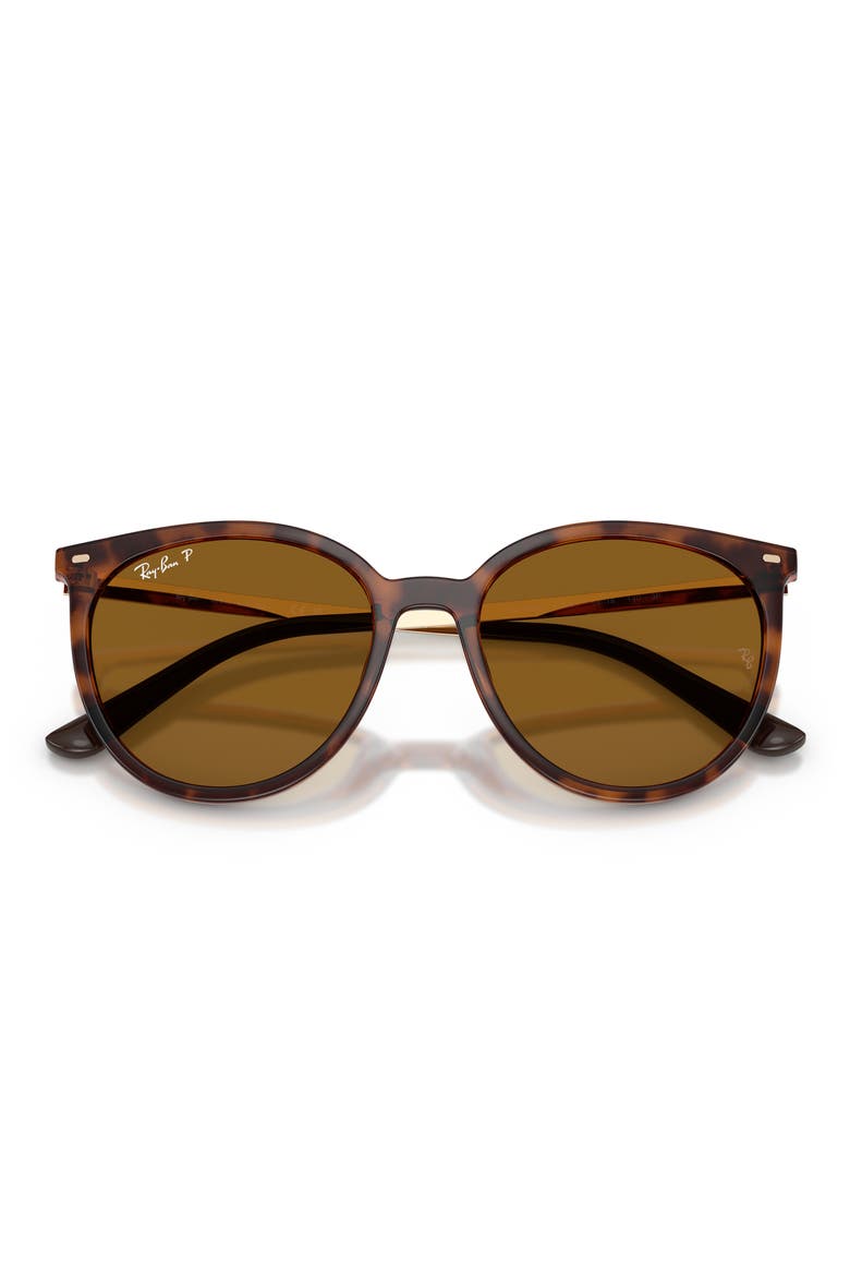 RB4464L 54mm Polarized Round Sunglasses, Alternate, color, DARK HAVANA / DARK BROWN POLAR