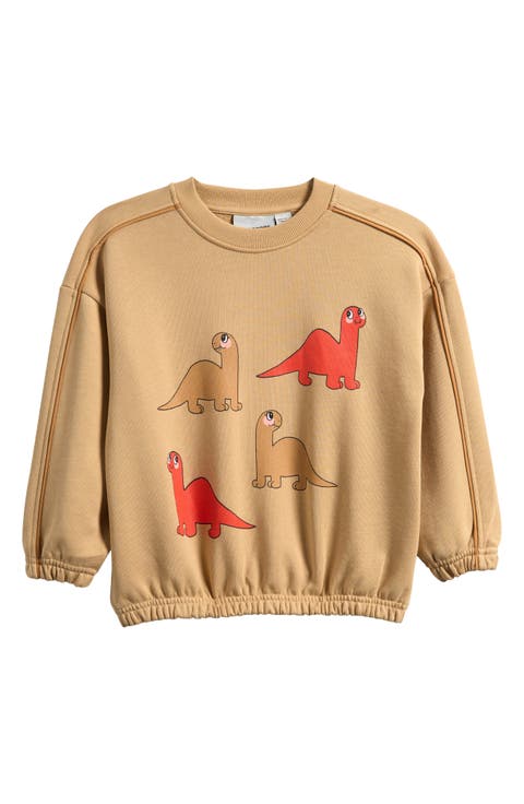 Kids' Dino Organic Cotton Sweatshirt (Toddler, Little Kid & Big Kid)