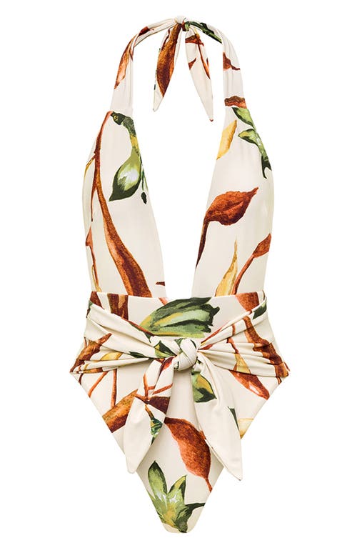 MONTCE MONTCE ROOTED FLORAL TROPEZ ONE-PIECE SWIMSUIT