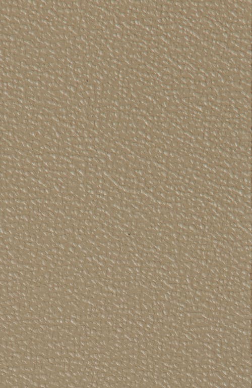 Nordstrom Metal Keeper Belt In Taupe