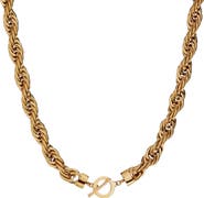 Alex and Ani Large Rope Chain Toggle Necklace