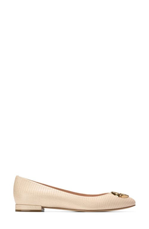 Cole Haan Skylar Ballet Flat