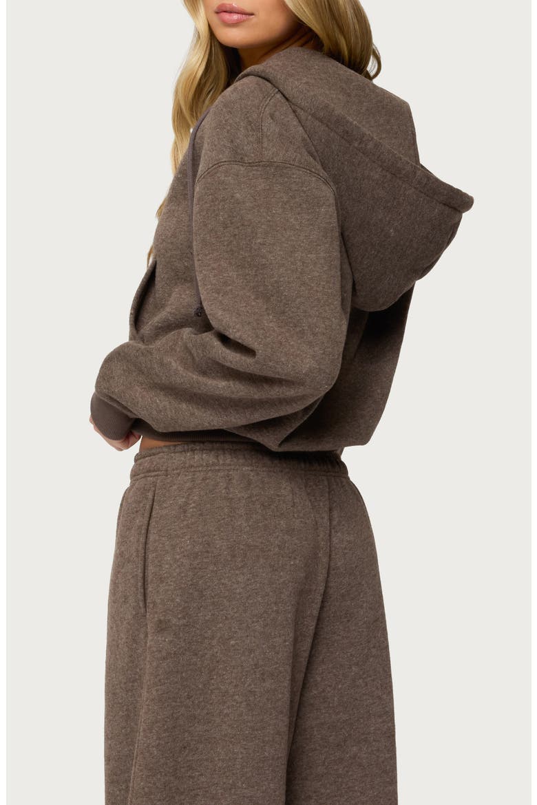 Laulie Crop Zip Hoodie, Alternate, color, BROWN