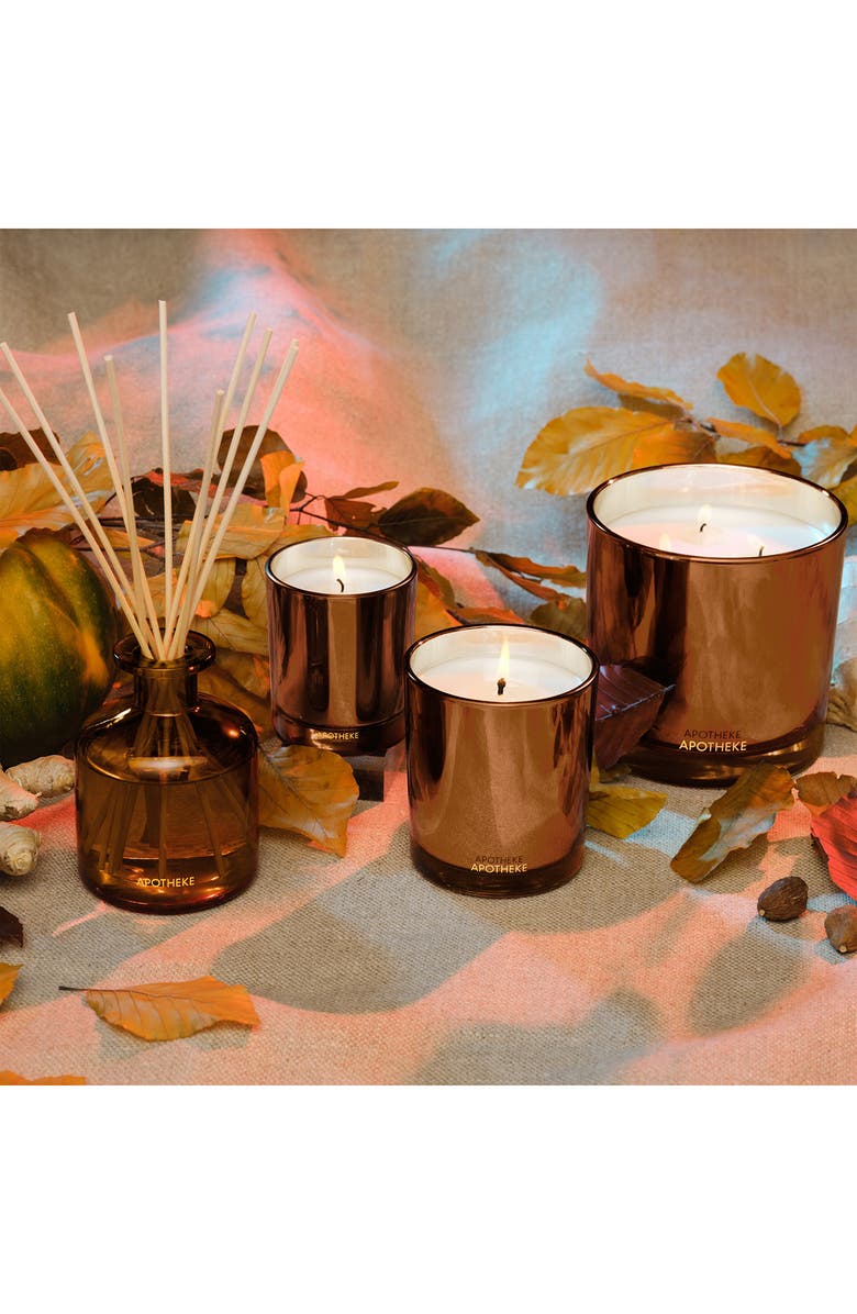 APOTHEKE Pumpkin Ginger Petite Scented Candle, Alternate, color, Rust/ Copper