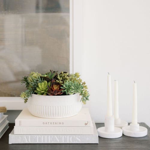 Cg Hunter 12" Succulent Arrangement In White