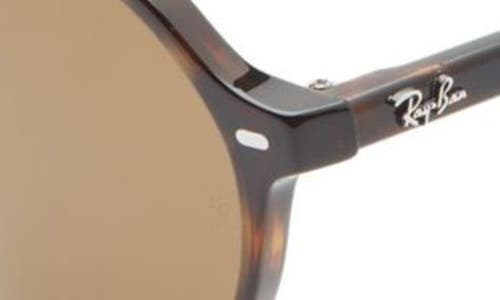 Ray Ban Ray-ban Thalia 53mm Polarized Square Sunglasses In Brown