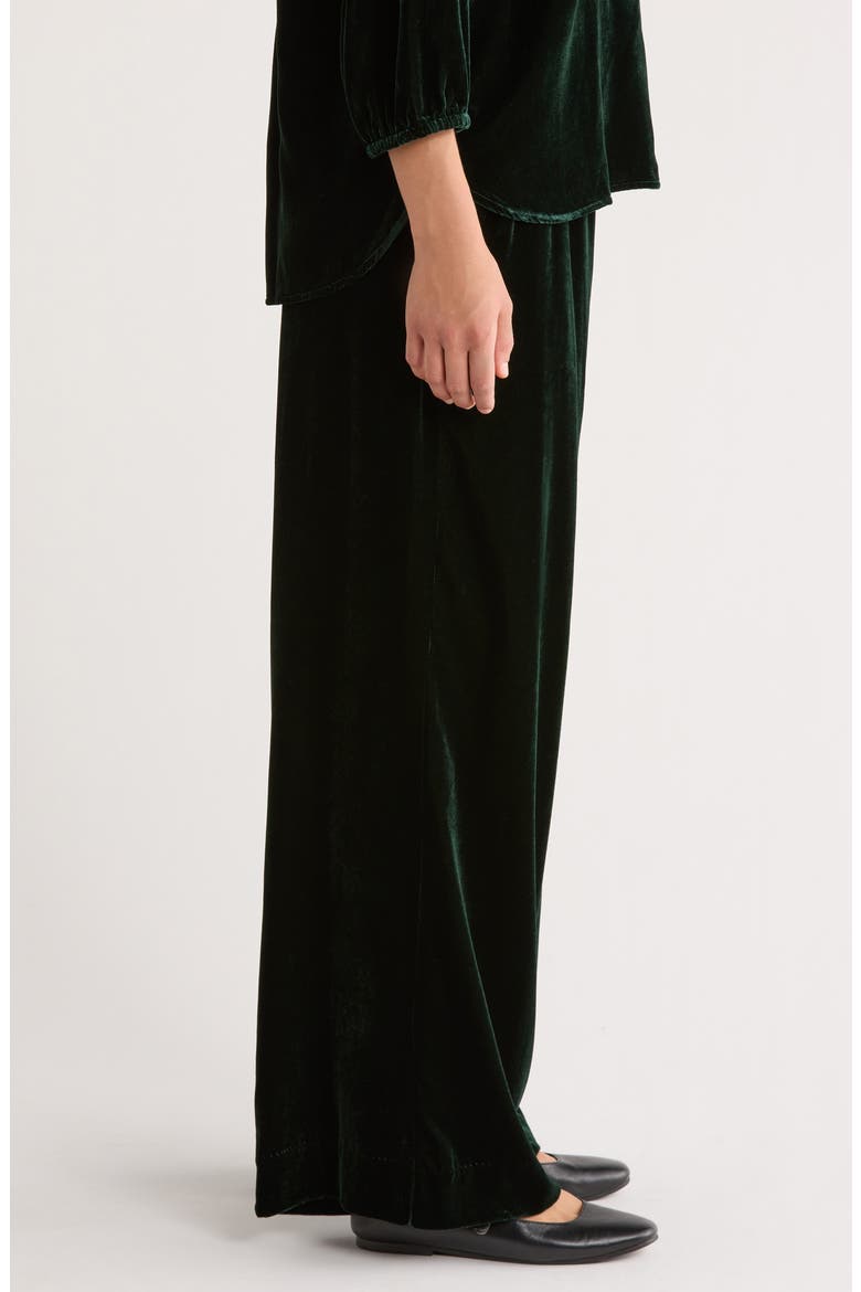 Bella Velvet Drawstring Pants, Alternate, color, EMERALD
