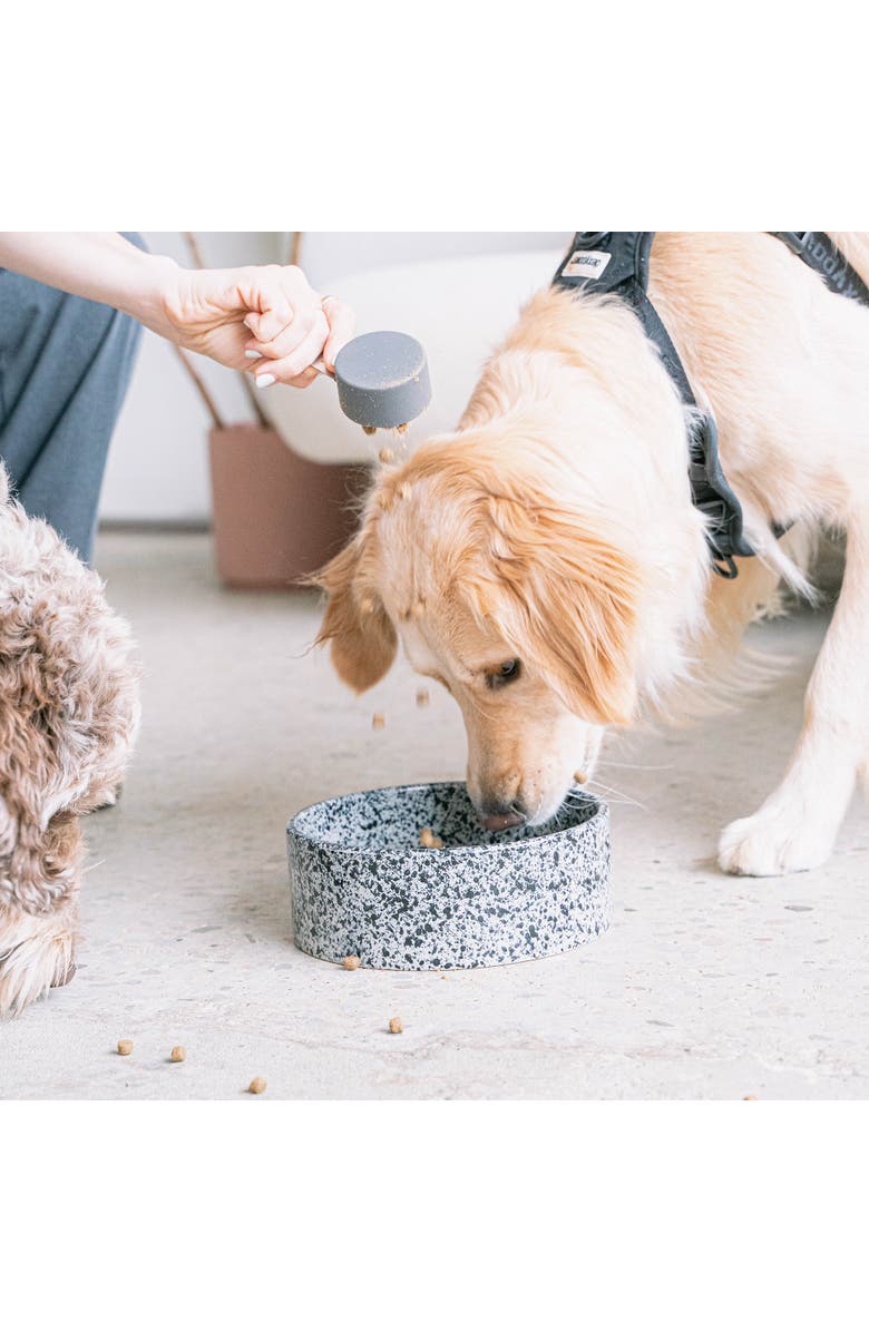 Dexypaws Ceramic Dog Bowl Salt & Pepper, 26oz, Pet Feeding Dish, Alternate, color, Multicolored