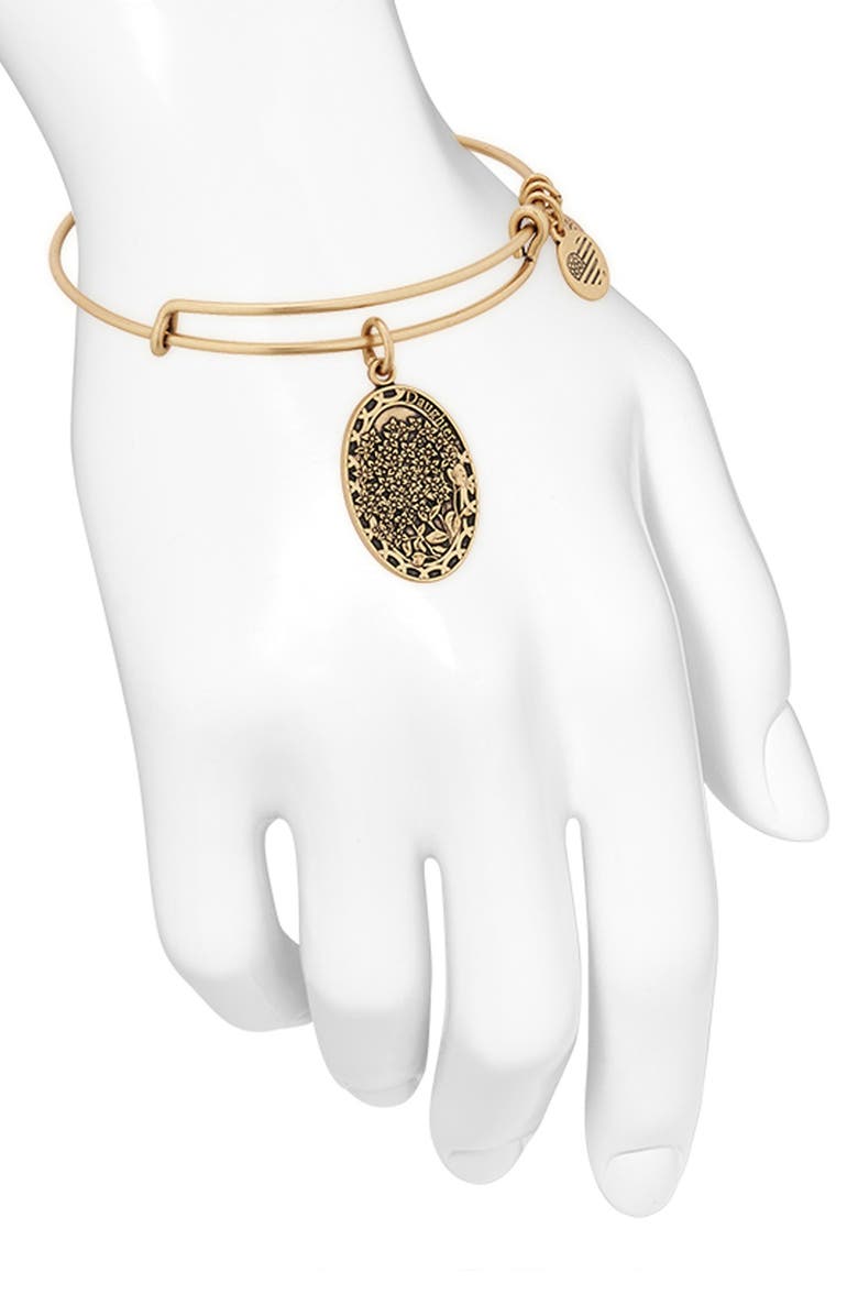 Alex and Ani 'I Love You Daughter' Expandable Wire Bangle, Alternate, color, 