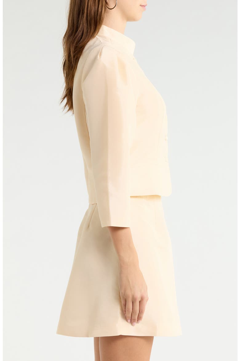 Hestia Puff Sleeve Jacket, Alternate, color, CREAM
