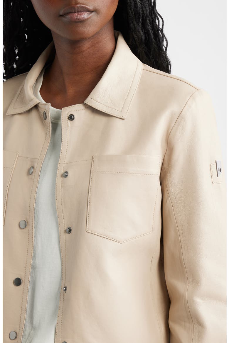 Lefei Leather Jacket, Alternate, color, BONE