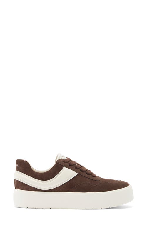 Vince Benfield Sneaker In Brown