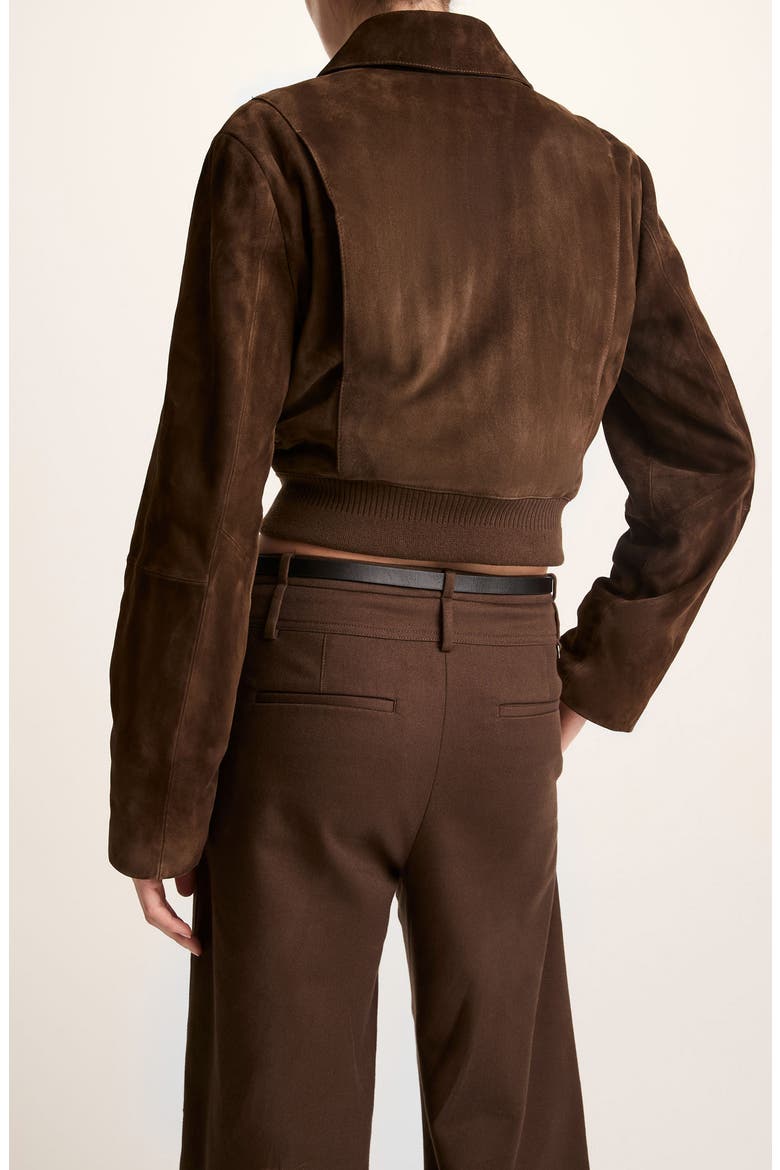 Shrunken Suede Bomber Jacket, Alternate, color, WILLOW