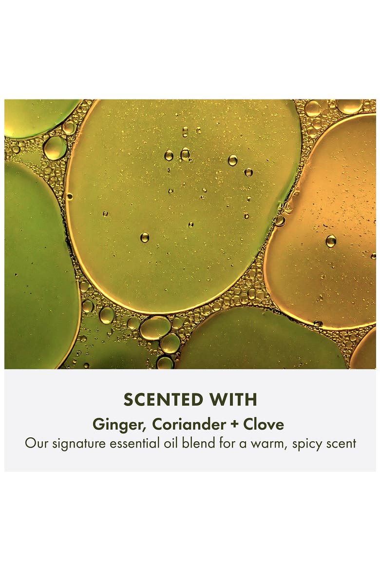 Ginger Moisturizing Hand Cream, Alternate, color, NO COLOR