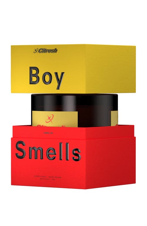 Boy Smells Citrush Standard Candle In Multi