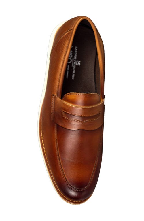 Sandro Moscoloni Natal Penny Loafer In Tan