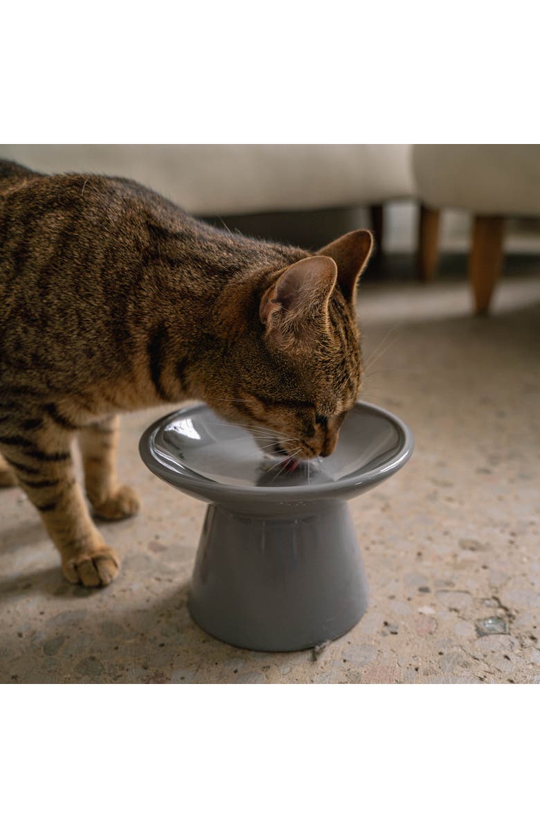 Dexypaws Flat Top Ceramic Cat Bowl, Grey, 7.5oz, Alternate, color, Gray