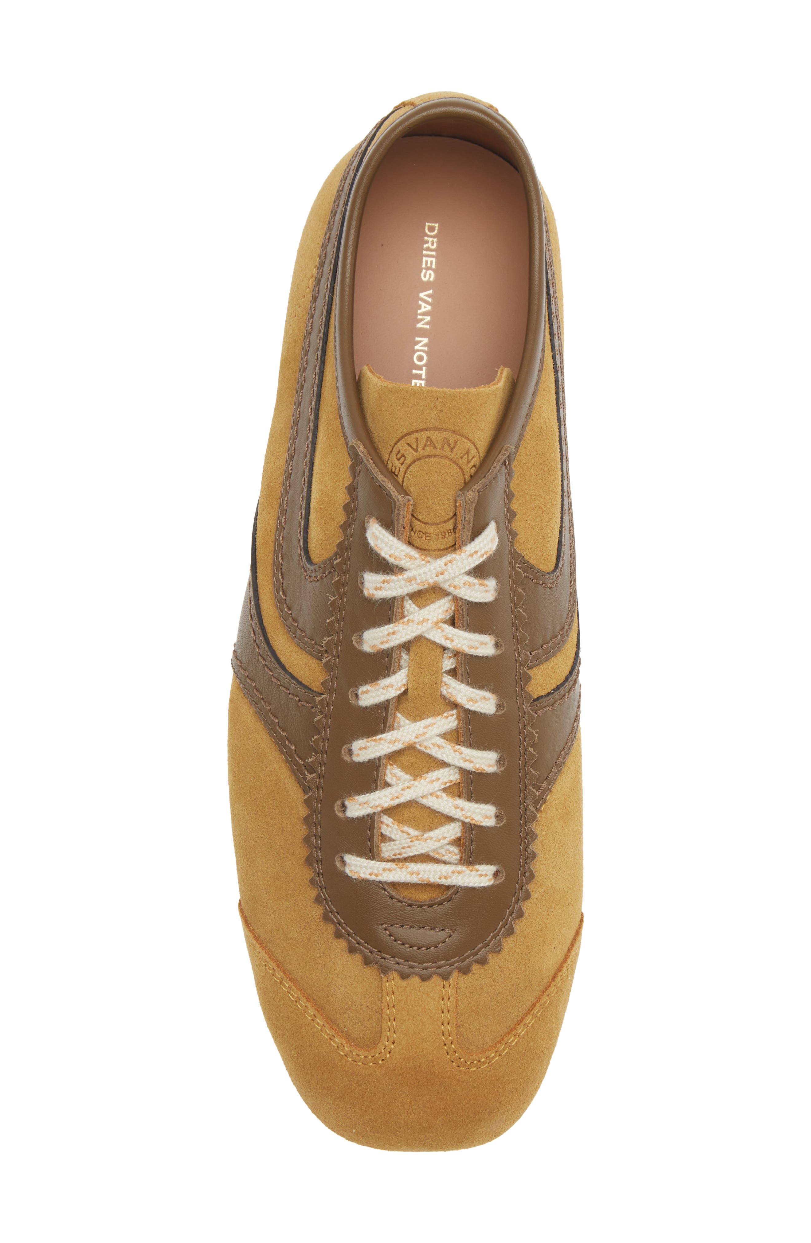 Suede Low Top Sneaker, Alternate, color, OCRA