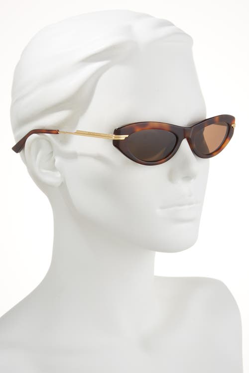 Bottega Veneta 53mm Cat Eye Sunglasses In Brown